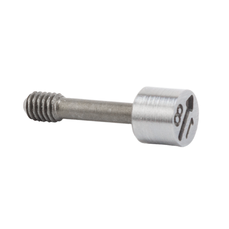 Replaceable Date Stamp FX2